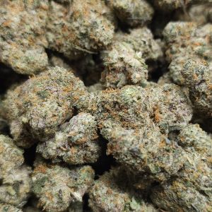 Gorilla Cookies