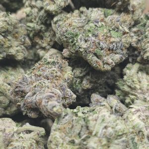 Sugar Mountain