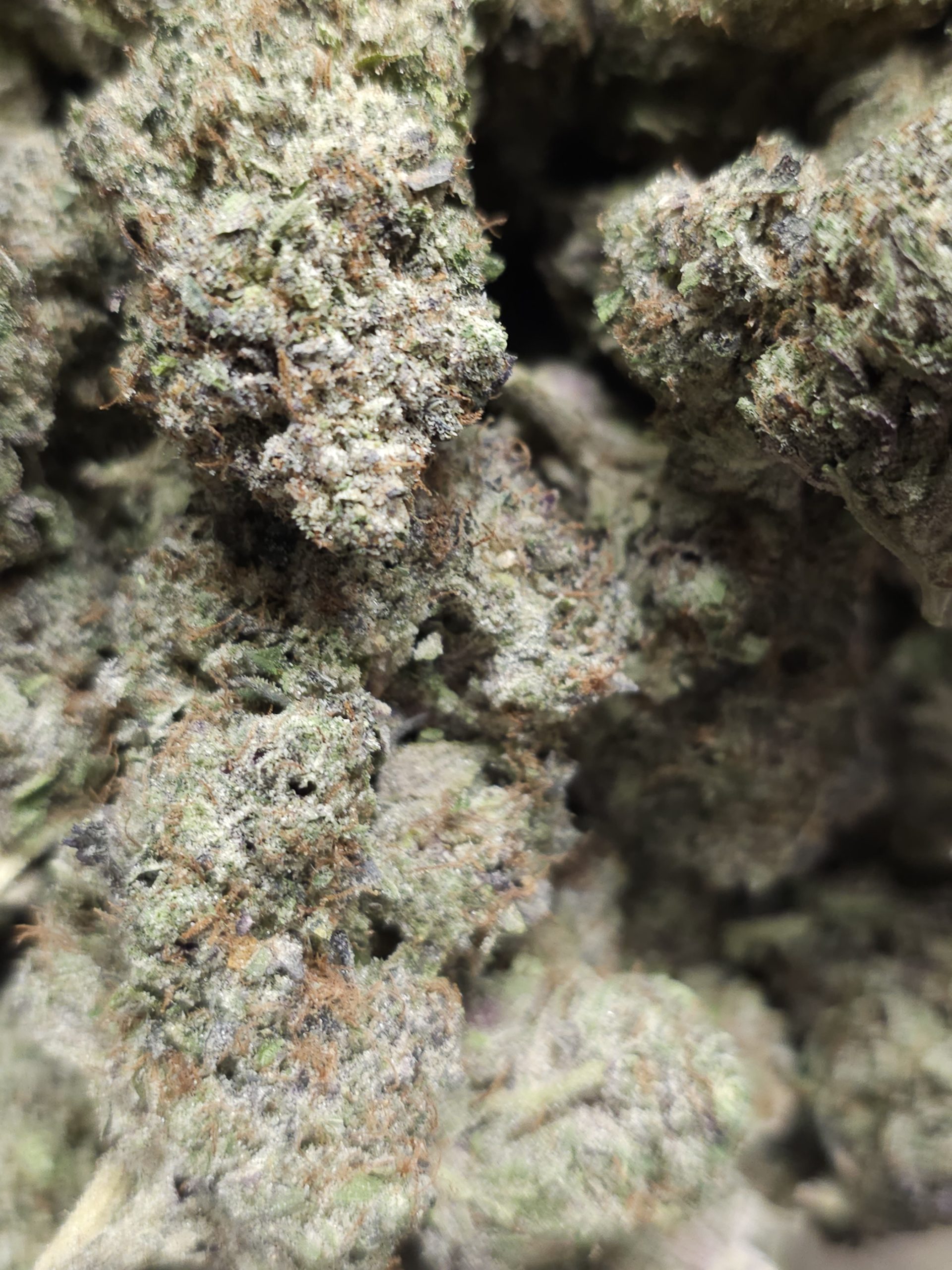 Platinum Death Bubba